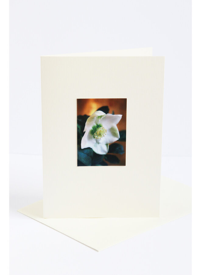 Tarjeta fotográfica navideña con diseño de rosa n.° 1