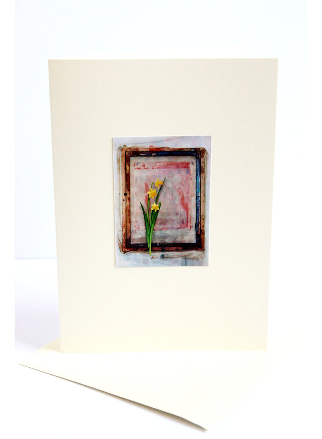 Carte photographique n° 3 de la jonquille