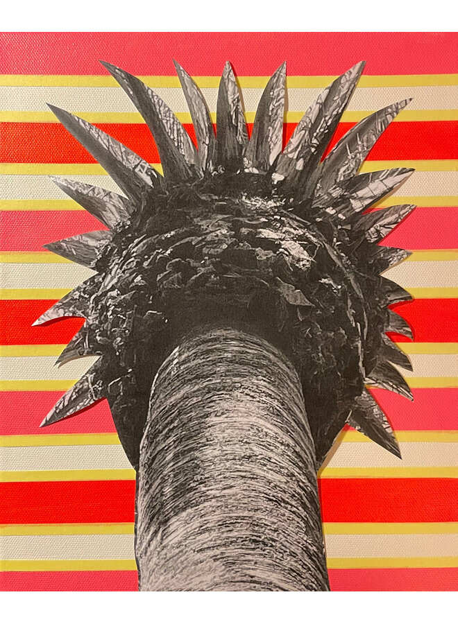 Jungle Candy Limited Edition Druck