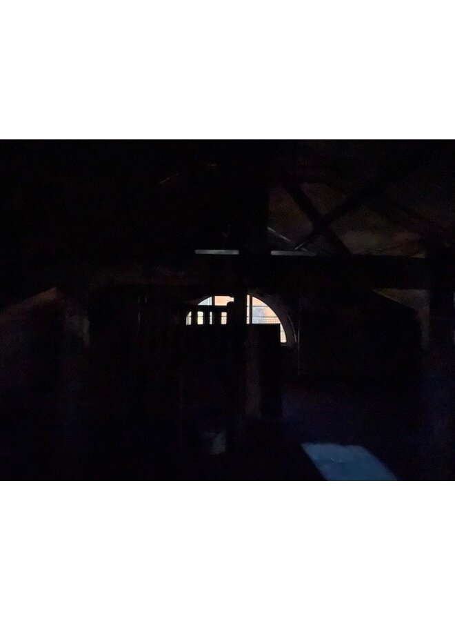 Attic Limited Edition Print