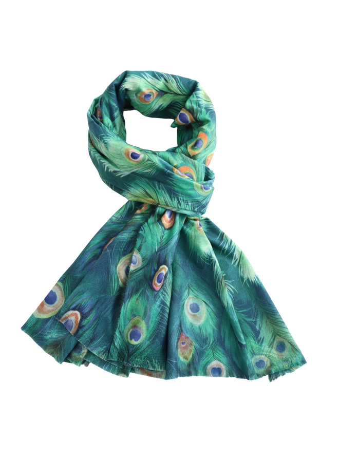 Peacock Feather Green  cotton Large Scarf