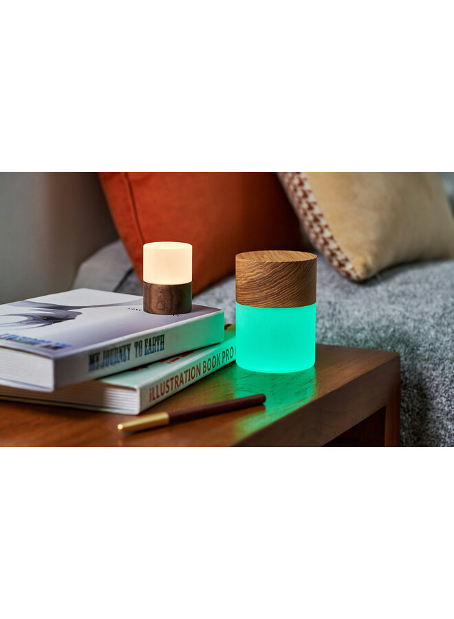 Mini Lemelia  Colour Change Light