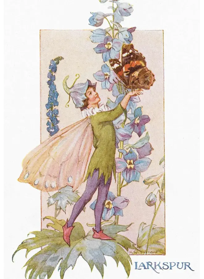 Rittersporn-Feenkarte von Margaret Tarrant
