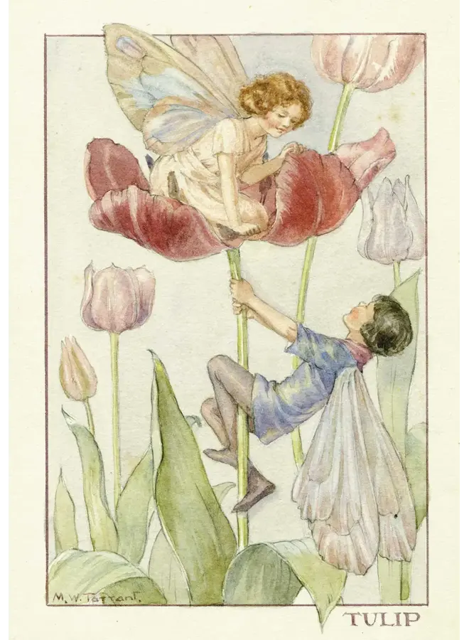 Tulpanfeekort av Margaret Tarrant