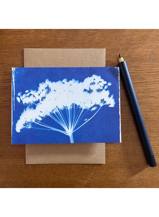 Carte cyanotype floral Calder RF11