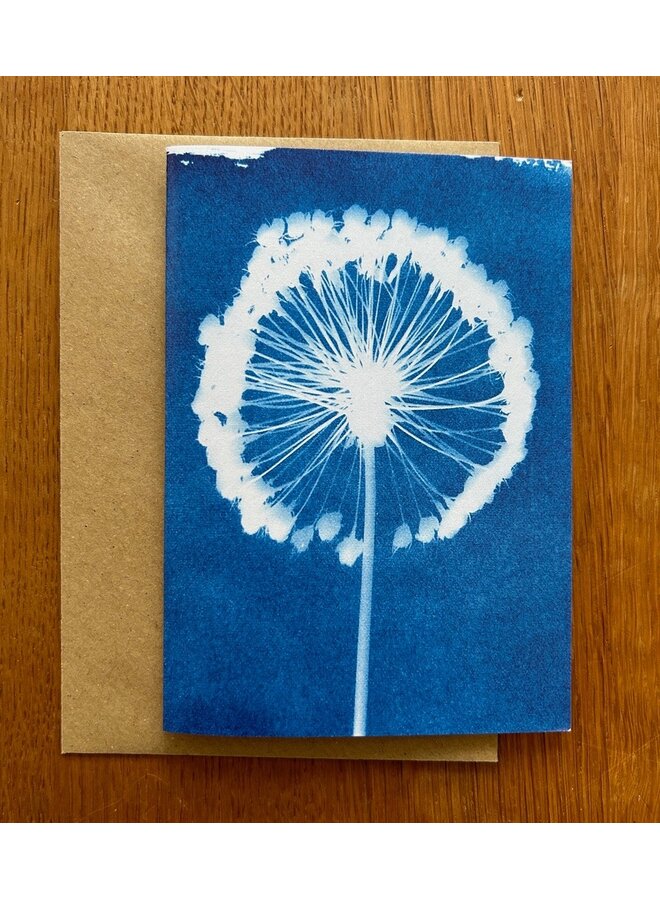 Blumen-Calder-Cyanotypie-Karte RF3