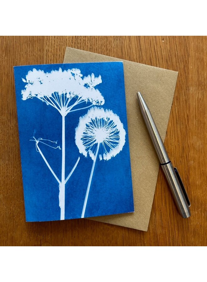 Blommigt Calder Cyanotypikort RF4