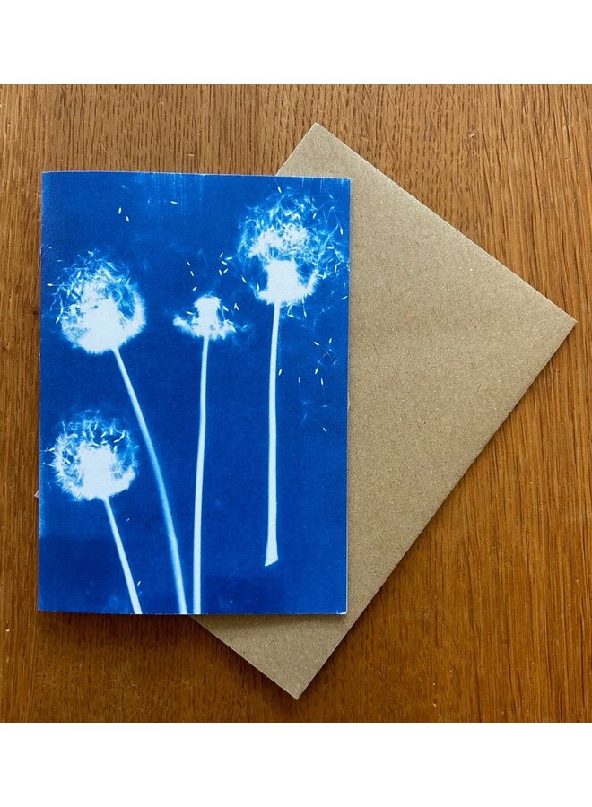 Floral Calder Cyanotype Card RF5