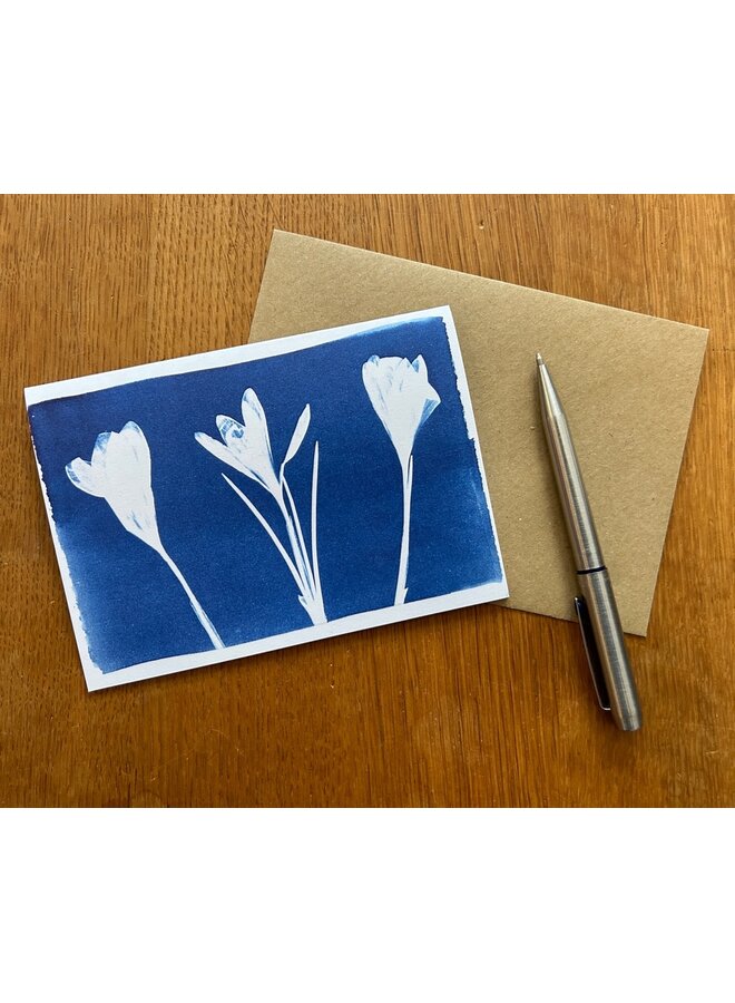 Blumen-Calder-Cyanotypie-Karte RF8