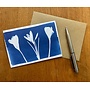 Tarjeta cianotipia floral de Calder RF8