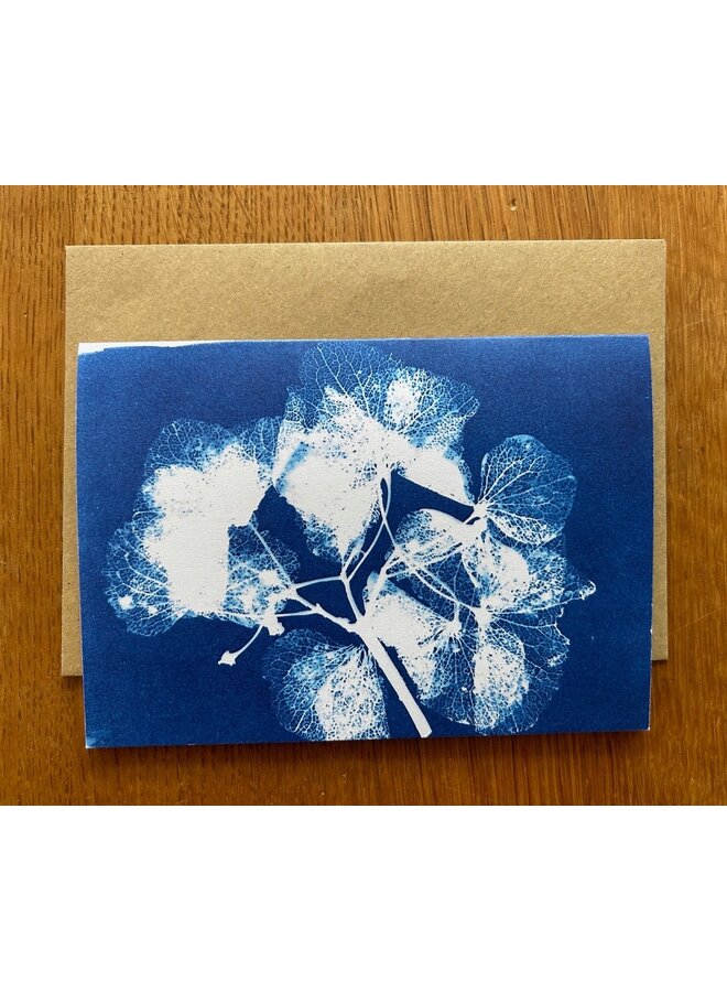 Blumen-Calder-Cyanotypie-Karte RF9