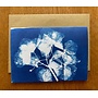 Floral Calder Cyanotype Card RF9
