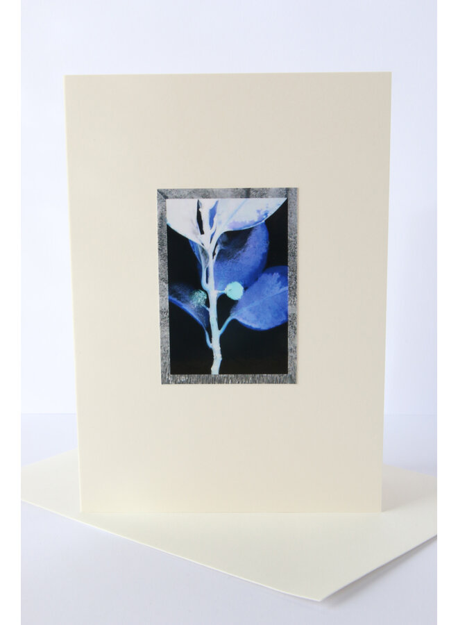 Holy Berry Photo Art Card 1 Inverted