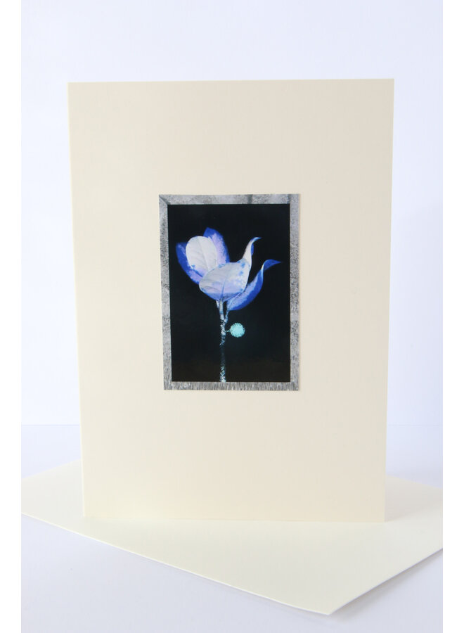 Carte photo artistique Holy Berry 2 Gros plan bleu