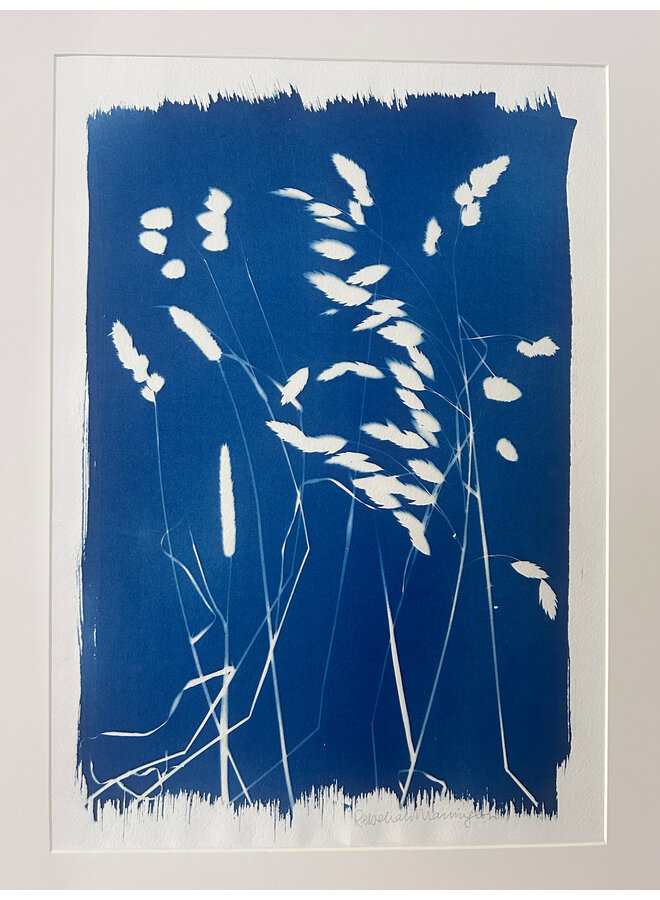 Herbes - Cyanotype original encadré