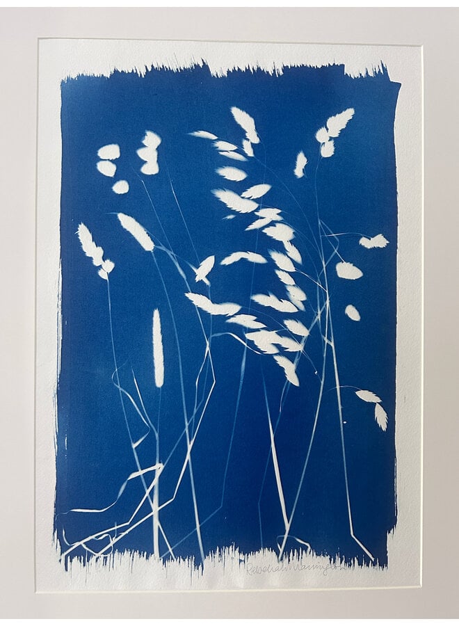Grasses Original Cyanotype Print