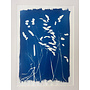 Grasses Original Cyanotype Framed  Print
