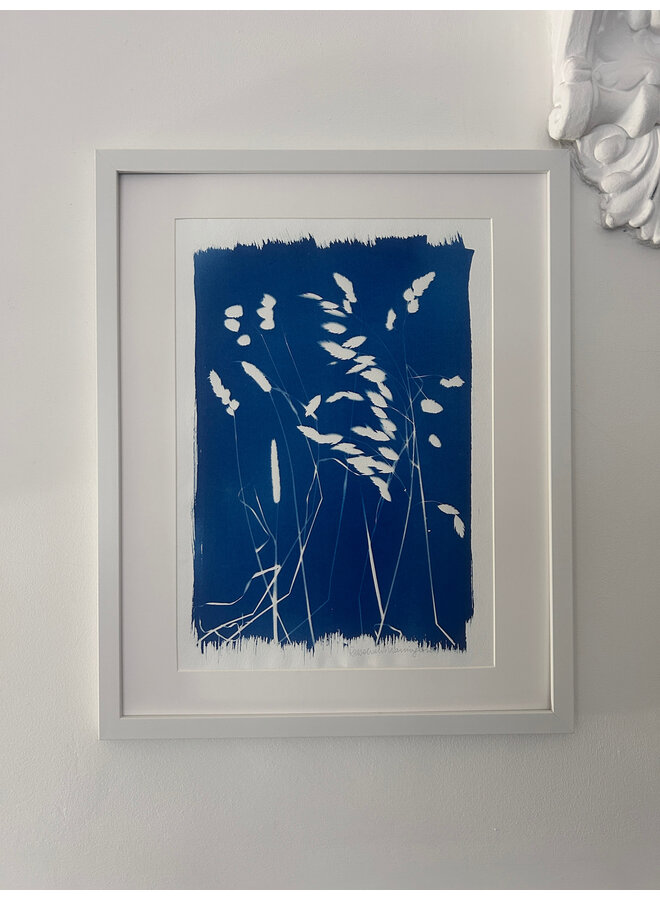Gräs Original Cyanotypi Inramat Tryck