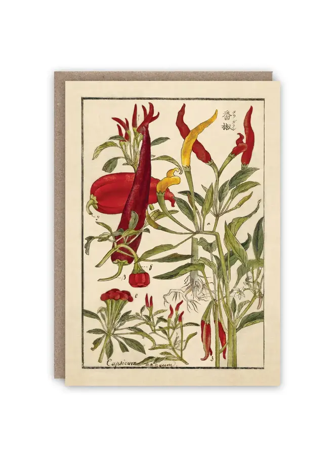 Carte de livre à motifs de piments