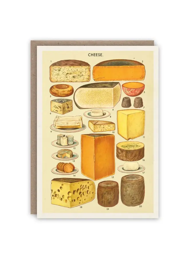 Tarjeta de libro con patrón de queso