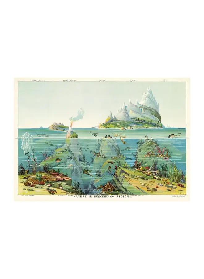 Affiche et papier d'emballage « La nature dans les régions descendantes »