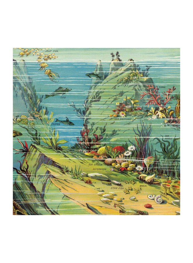 Nature in Descending Regions Poster and Wrapping paper