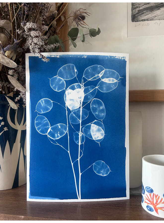 Ärlighet Cyanotypi Giclée-tryck 07