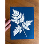 Fern Cyanotype Giclee Print 11