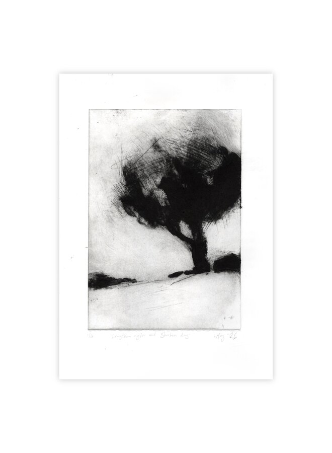 Alargar la noche y acortar el día 1/4