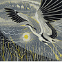 Copy of Morning Light Square card by Annie Soudain