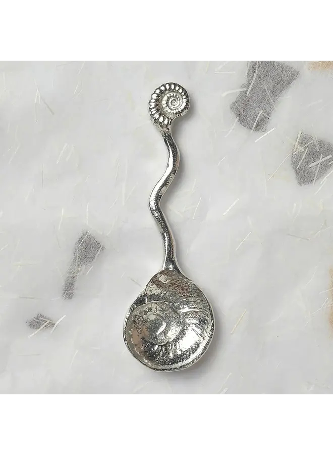 Ammonitfossil Liten tennsockersked 60