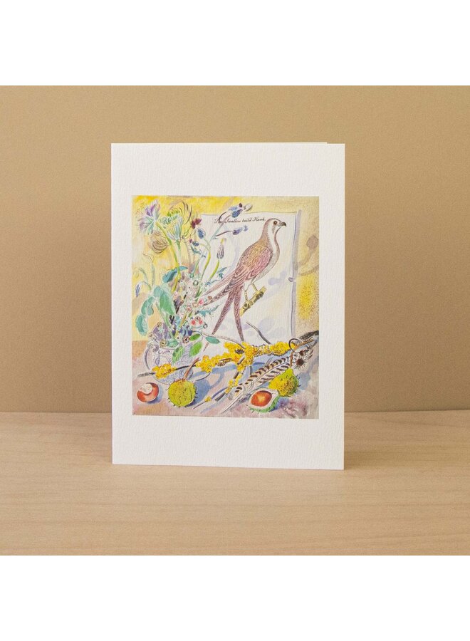 The Painted Finch and Swallow Tail's Hawk Noteards by Emily Sutton