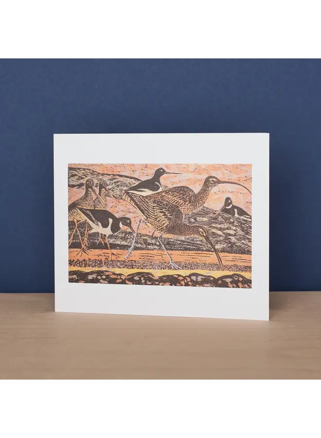 Curlews and Oystercatchers by James T.A.Osborne
