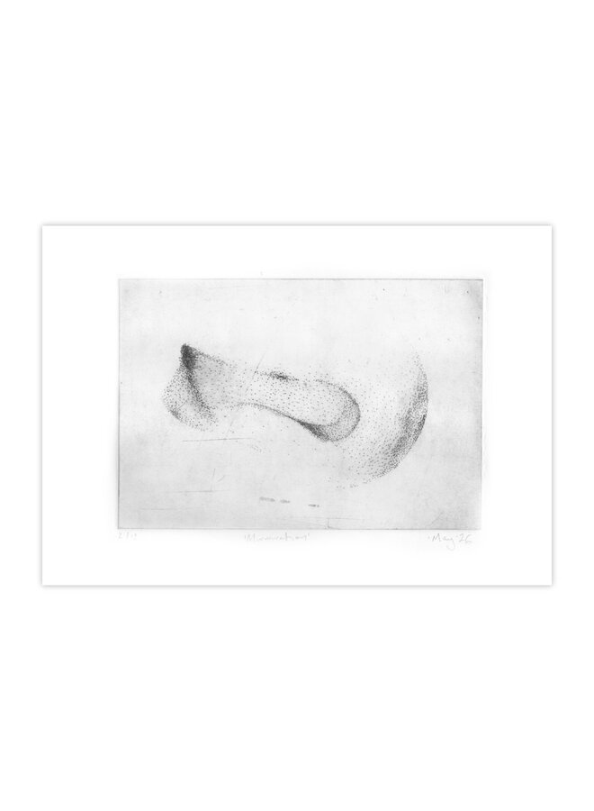 Murmeration  Drypoint 2 /12