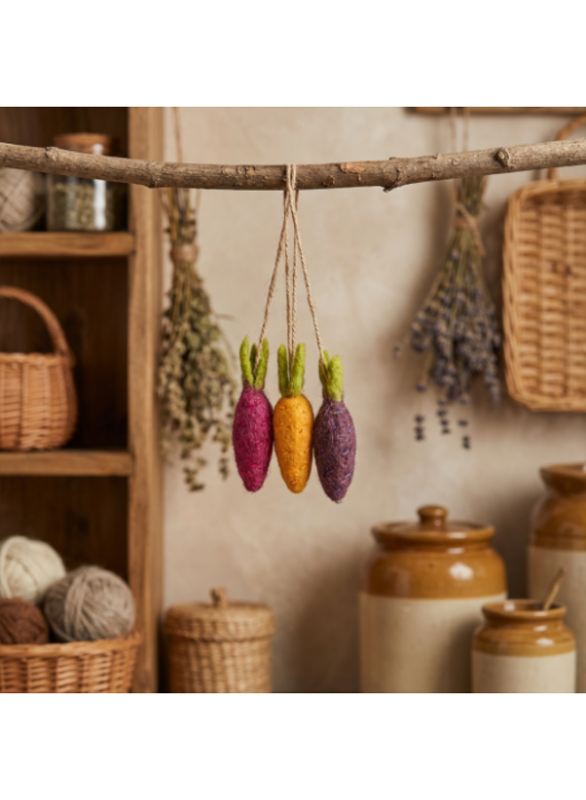 Rainbow Carrots Set of 3  Hanging Decoration 37