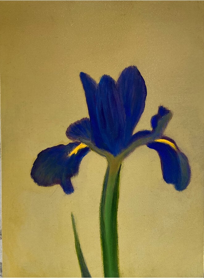 Iris on Yellow Ground