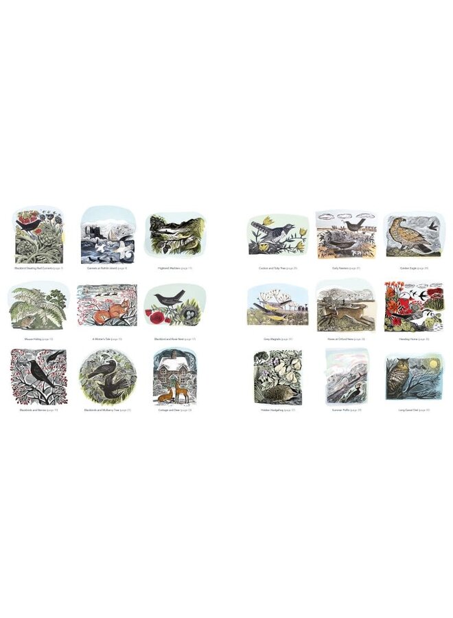 Раскраска с изображениями диких животных от Анжелы Хардинг