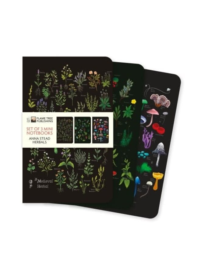 Herbals 3 Mini Notebooks by Anna Stead