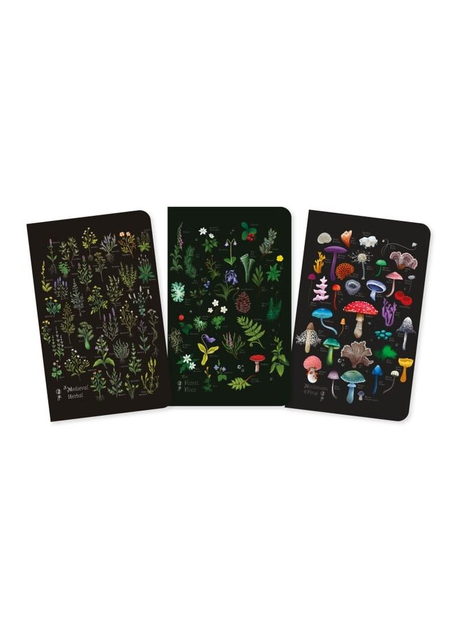 Herbals 3 Mini Notebooks by Anna Stead