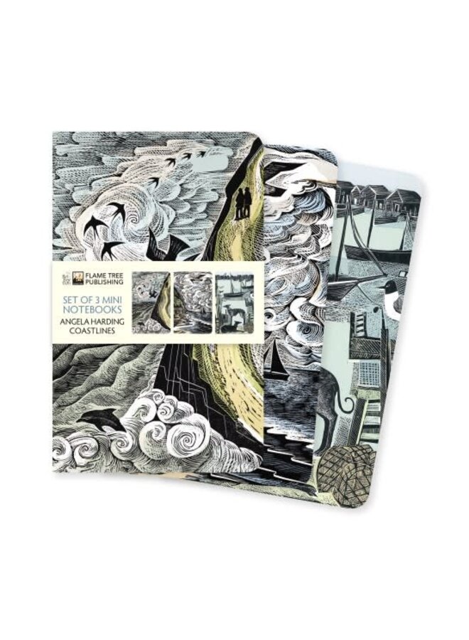 Coastlines 3 Mini Notebooks by Angela Harding