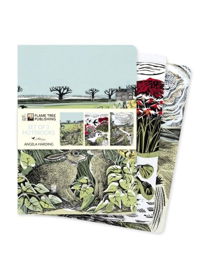 Set of 3 Lined & blank Notebooks Landscape by Angela Harding