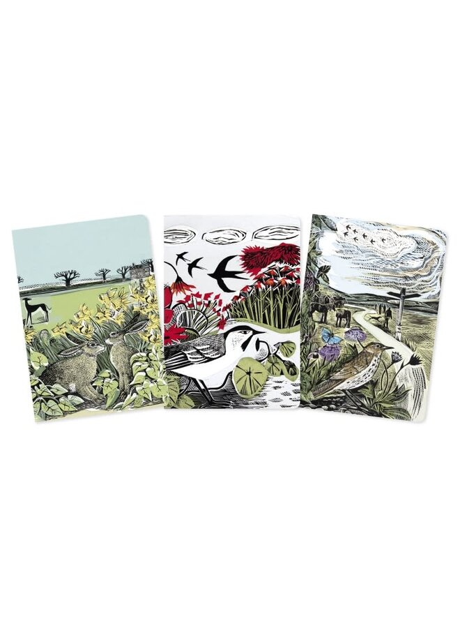 Lot de 3 carnets lignés et vierges, format paysage, par Angela Harding