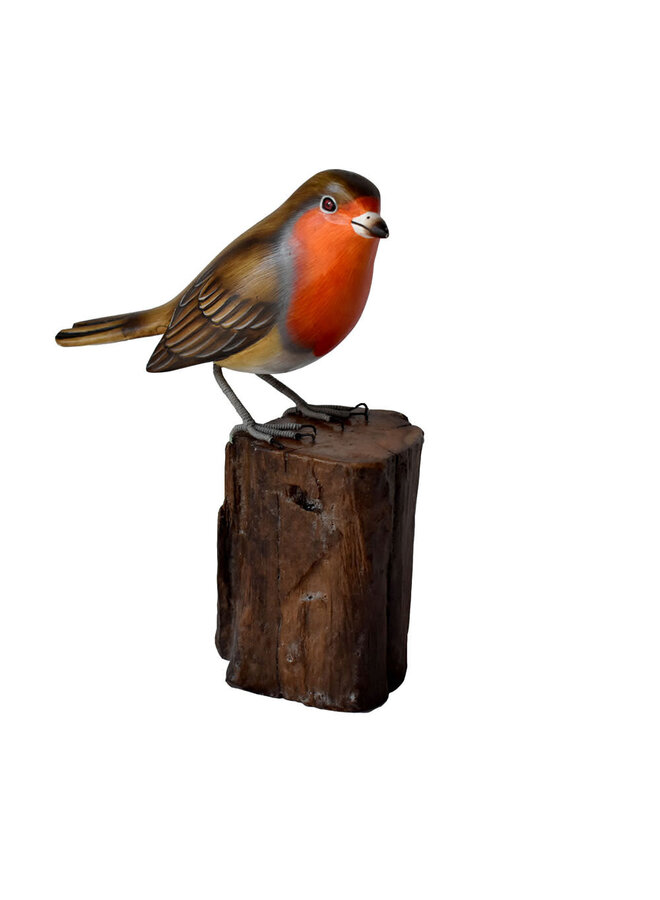 Copy of Blue Tit on Tree Trunk 68