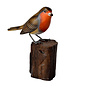 Robin on Tree Trunk 69by Wayan Dirga