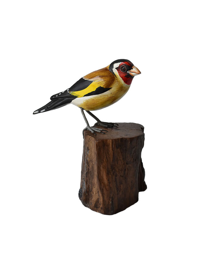 Copy of Robin on Tree Trunk 69