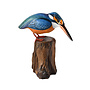 Kingfisher on Tree Trunk 71