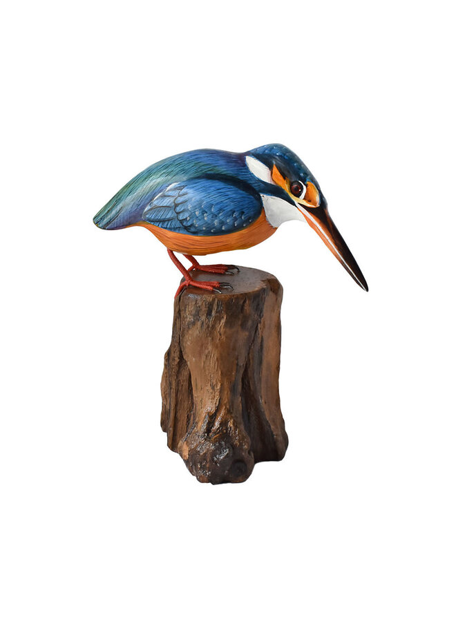 Kingfisher on Tree Trunk 71