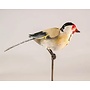 Goldfinch  a Rod  Recycled Garden Art 11
