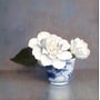 Camellias in a Coffee Cup Giclee Print 100