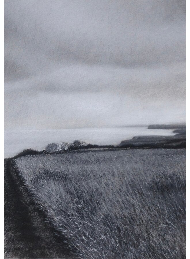 Sendero costero cerca de Cloughton